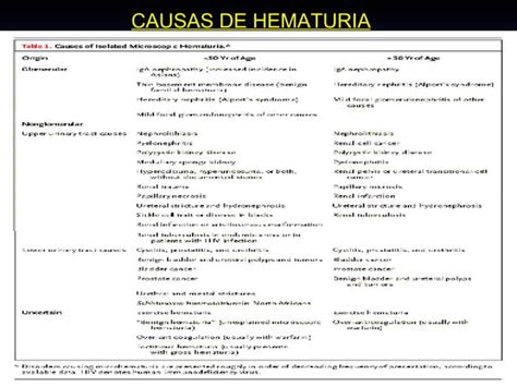 Hcm Egreso Biopsia Renal Ppt