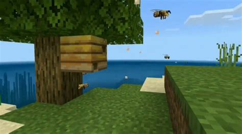 Minecraft Bee Nest Texture