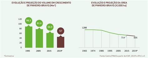 Centro Pinus Lan A A Edi O Dos Indicadores Da Fileira Do Pinho