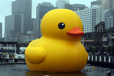 Giant Rubber Duck Bursts in Taiwan