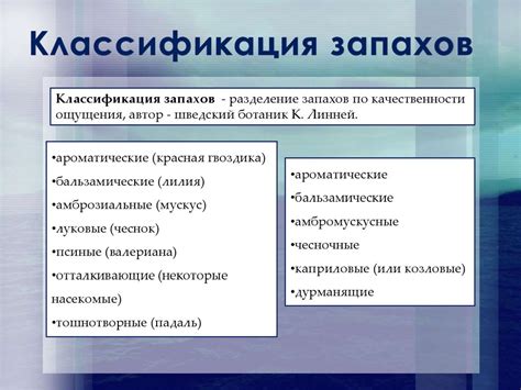 В мире запахов - презентация онлайн
