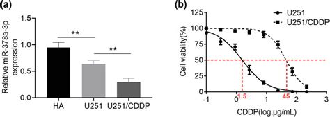 Expression Of Mir 378a 3p In Drug Resistant U251cddp Cells A