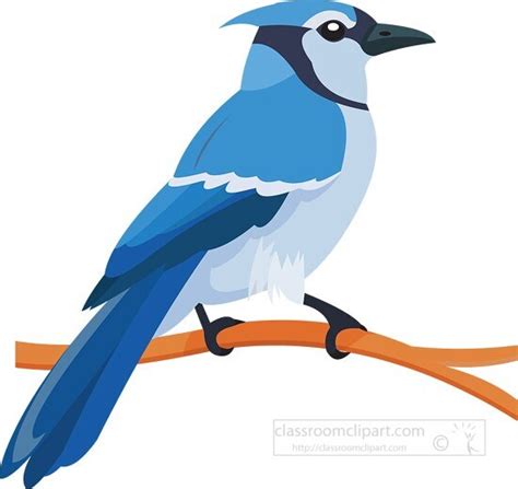 Bird Clipart Blue Jay Bird On Branch Clipart