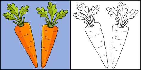 Zanahorias Vegetales P Gina Para Colorear Ilustraci N Vector Premium