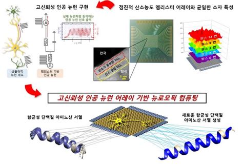 인간 뇌 닮은 차세대 뉴로모픽 반도체 핵심 소자 개발