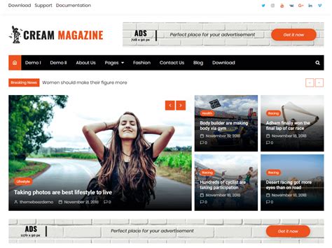 20 Best Free WordPress Magazine Themes 2024 - HashThemes