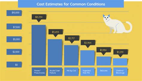 How Much Does It Cost To Own A Cat In 2022 All About Cats