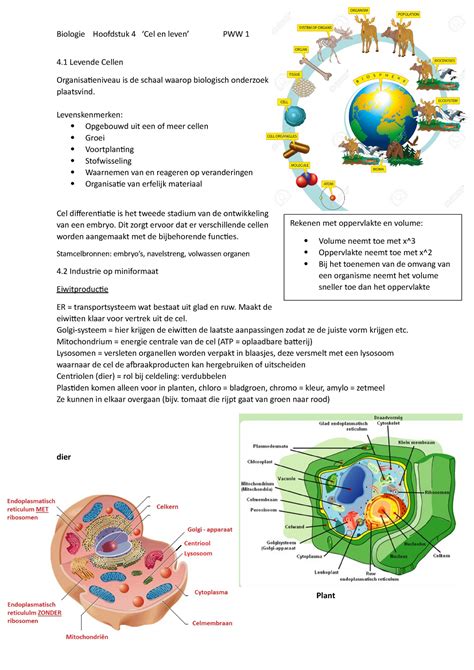 Biologie V4 Samenvatting Hoofdstuk 4 Cel En Leven Rekenen Met