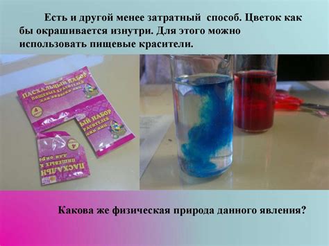 Капиллярные явления в окрашивании растений или «Физика цветов ...