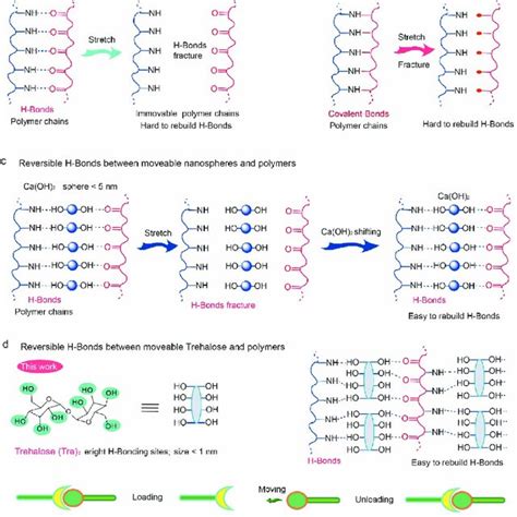 Schematic Illustration On Molecular Covalentnon Covalent Interactions Download Scientific