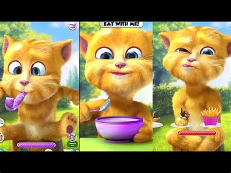 Funny Ginger Cat Cute Annoying Talking Ginger Talking Funny Tom