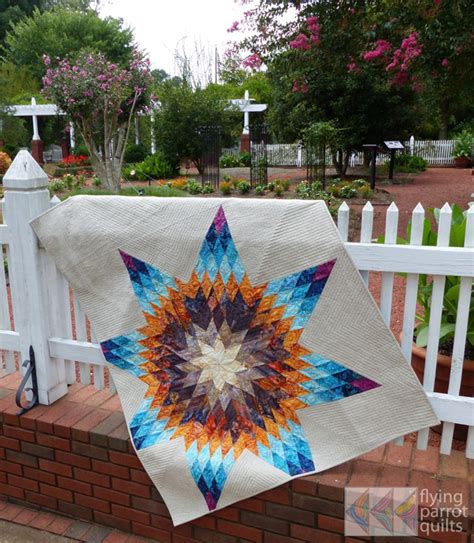 Lone Star quilt finish! – Flying Parrot Quilts