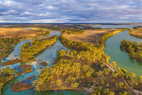 Guide To Riverland Sa Wiki Australia