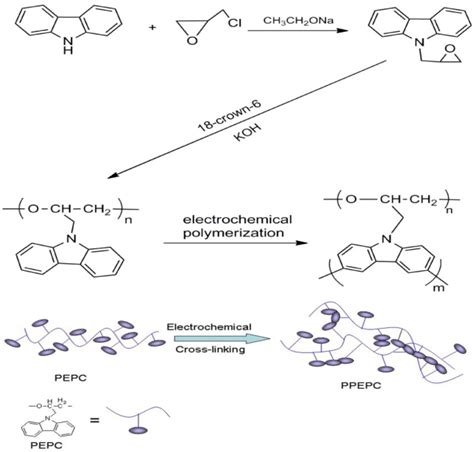 Polymers Free Full Text Polycarbazole And Its Derivatives