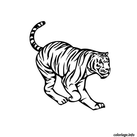 Coloriage tigre de siberie - JeColorie.com