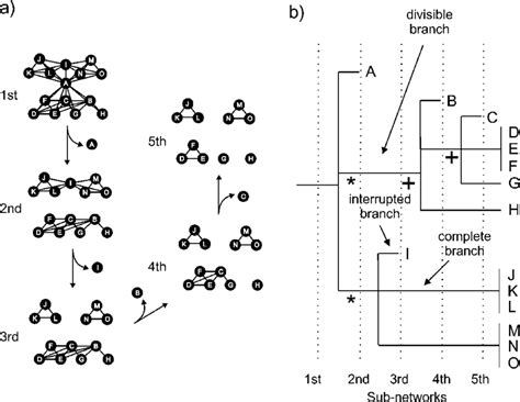 Graphical display of the sympatry network analysis. (a) Iterative ...