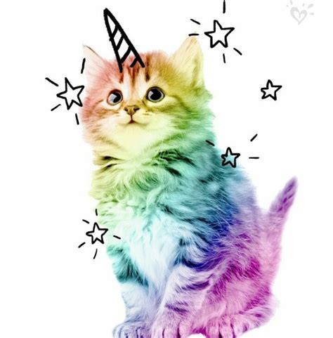 Tatisss ️ ️ Unicorn Cat Cute Cats Cute Animals