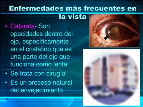 PPT Sistema Nervioso Y Sentidos PowerPoint Presentation Free