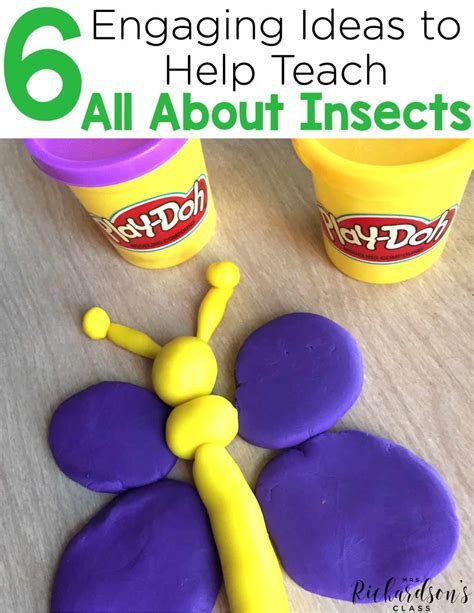 6 Engaging Insect Activities to Help You Teach | Mrs. Richardson's Class