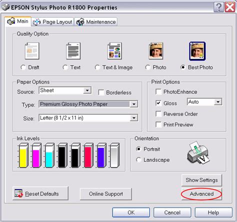 Using ICC Profiles With Epson Printers Steve S Digicams