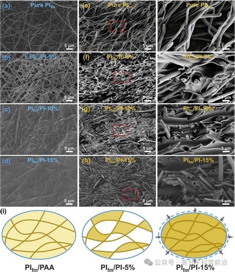浙江理工大学Compos Sci Technol 超低介电常数和介电损耗的无氟疏水PIfm PI纳米纤维复合材料 腾讯新闻