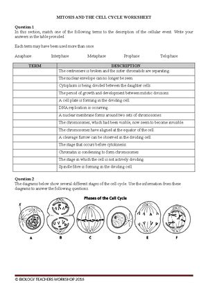 Unit Outcome Practice Sac Biology Tssm Page Of