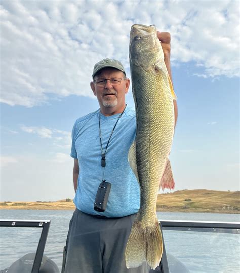 Nd Fishing Report Sakakawea August Th Mike Peluso Outdoors