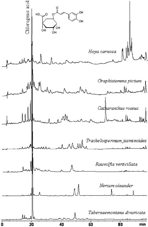 Hplc Chromatograms 280 Nm Of Methanolic Extracts From The Selected