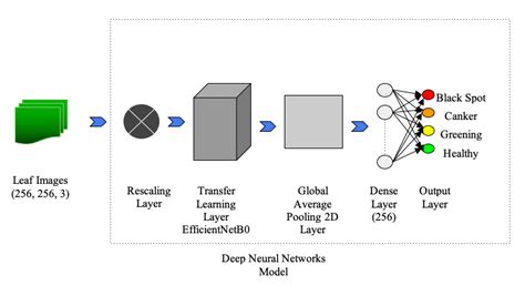 Structure of deep neural network model | Download Scientific Diagram