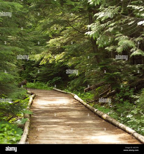 Mt Robson Provincial Park Canada Stock Photo - Alamy