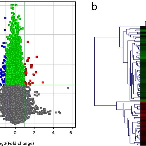 Volcano Plots And The Hierarchical Clustering Of The Differently Download Scientific Diagram