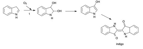 Solved A What Type Of Enzyme Would Catalyze Reaction B Chegg