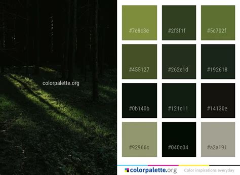 Forest Green Color Palette