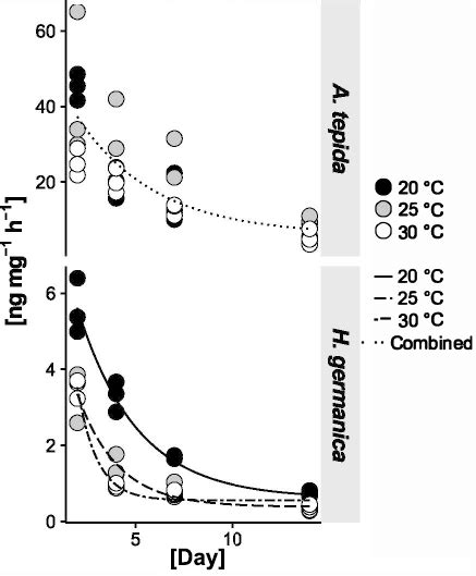 Carbon Uptake Rates Uptake Rates Of Phytodetrital Carbon Of A Tepida