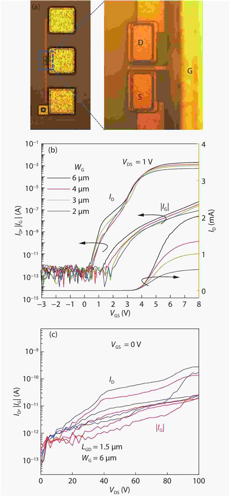 Integration Of Gan Analog Building Blocks On P Gan Wafers For Gan Ics