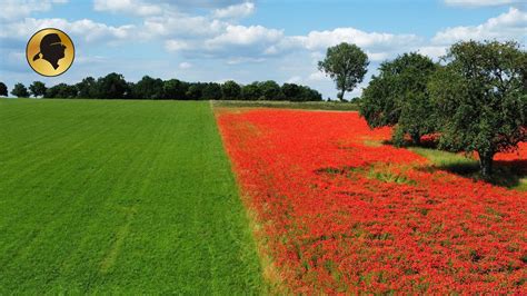 Naturerlebnis Farbenspiel in Hohenlohe relax Genuß und träumen bei