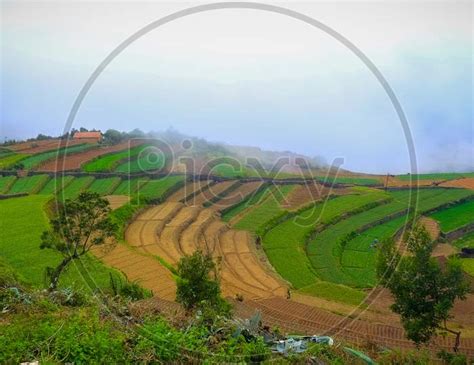 Image Of Kookal Village View Over The Misty Clouds Beautiful Kookal