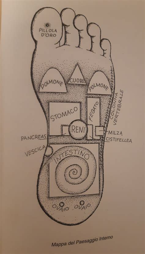 Mappa Del Piede Metodi Di Lettura