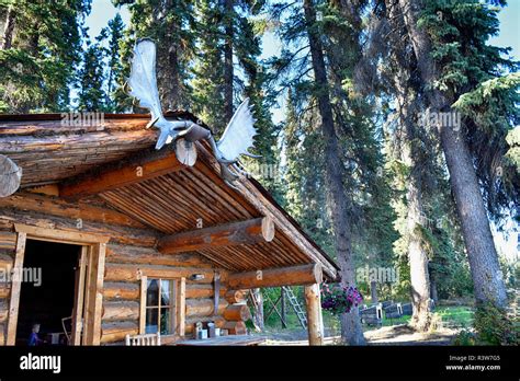 Trappers Cabin Hi Res Stock Photography And Images Alamy