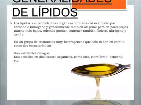 Funciones De Los Lipidos En La Odotologia PPT