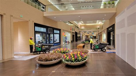 North Park Mall Wins NALP Award of Excellence for Tree Care - Southern ...