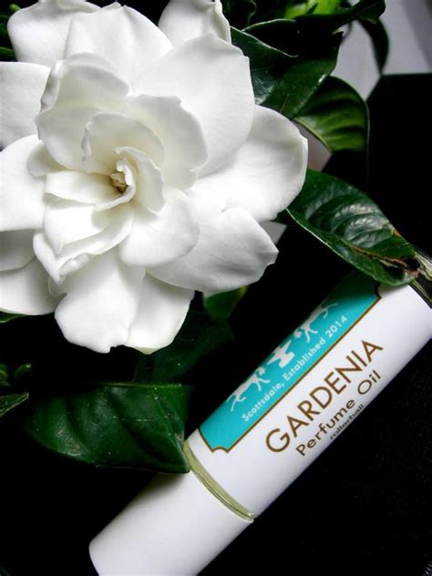 Soliflore Gardenia Dame Perfumery Parfum Een Geur Voor Dames En Heren