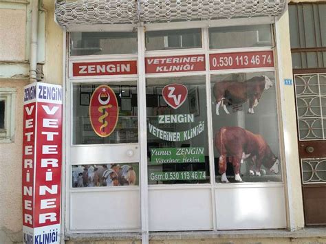 Zengin Veteriner Kliniği 0530 113 46 SANDIKLI