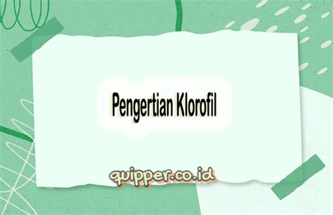 Pengertian Klorofil Fungsi Jenis Struktur Dan Manfaatnya