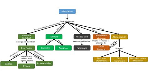 Mapas Conceptuales Relacionales Y Procedimentales UCAFE