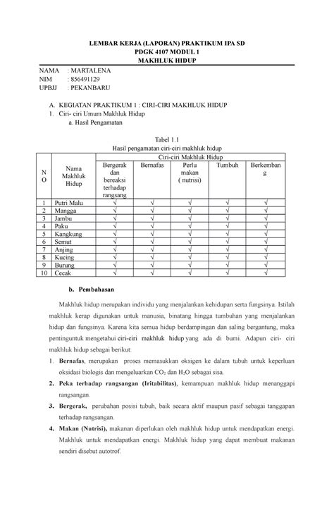 Lembar Kerja Praktikum Ipa Lembar Kerja Laporan Praktikum Ipa Sd