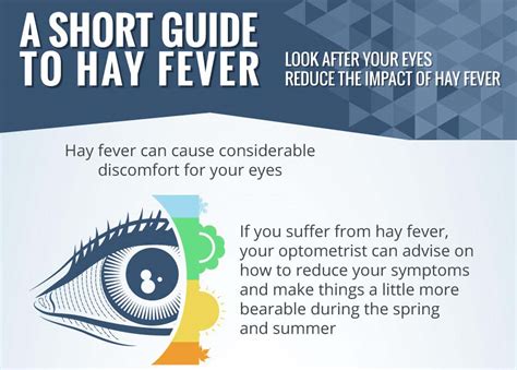 Guide To Hay Fever Infographic