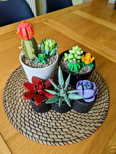 Potting Up My Lego Succulents The Wallflower Digest