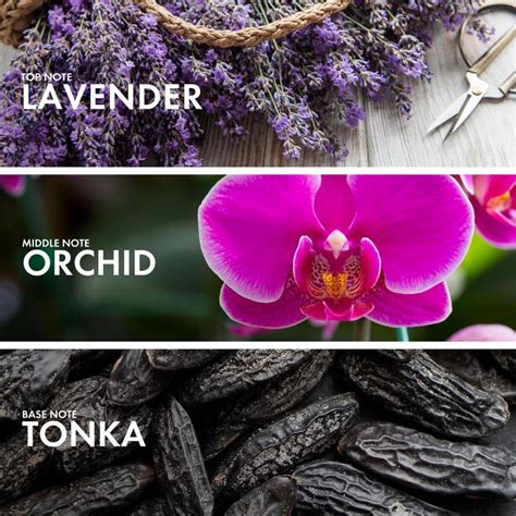 Orchid Lavender - Craftier Perfumes