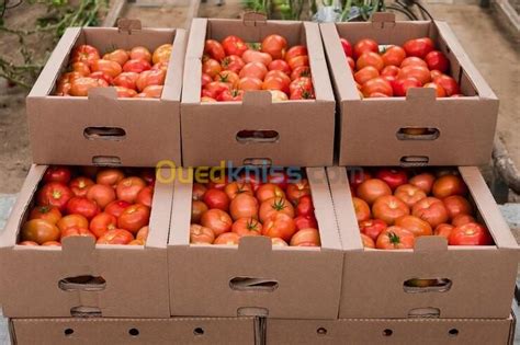 Carton Ondule Box Caisse Fruits Et L Gumes En Carton Alger Alg Rie